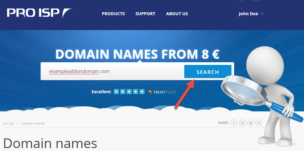 Search for desired domain name
