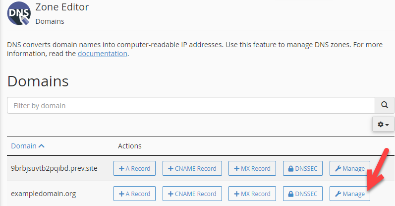 Manage your DNS zone in cPanel