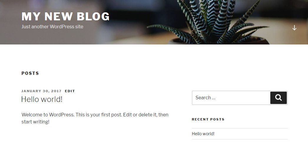WordPress default welcome page