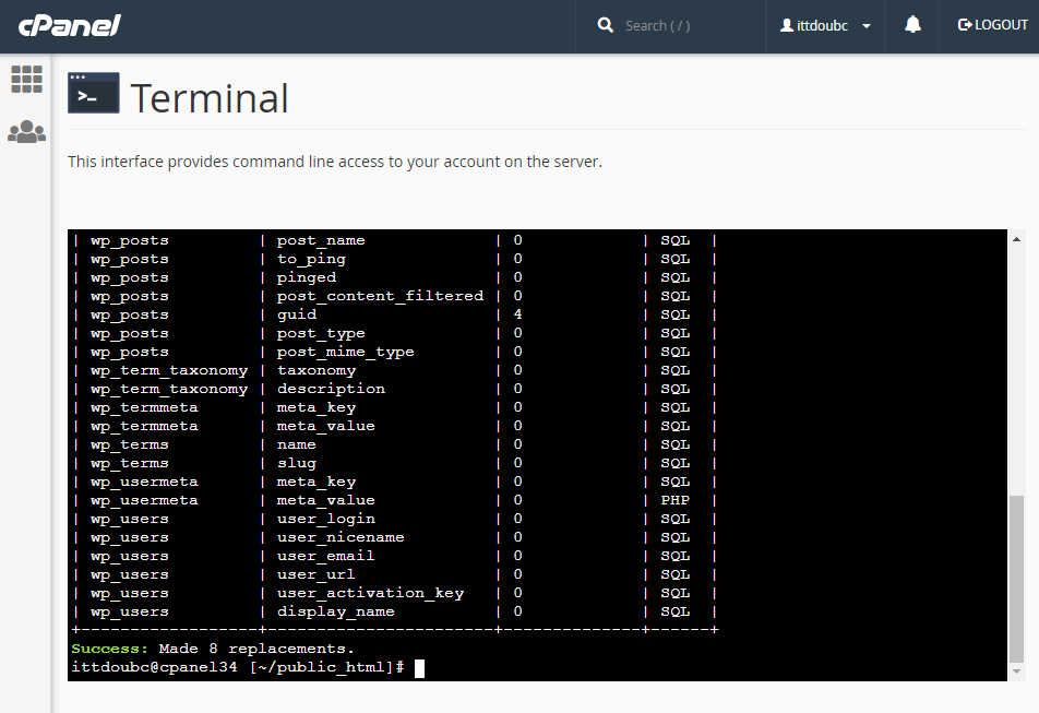 Update WP using WP-CLI in the terminal