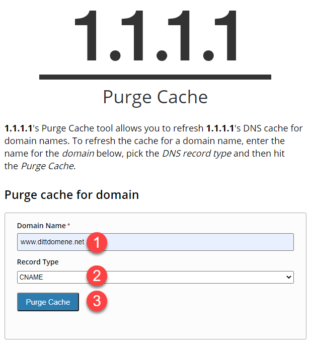 Tøm DNS cache hos Cloudflare